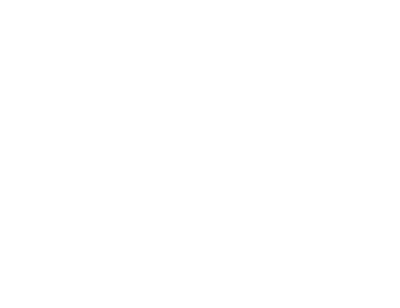Donahoe Young & Williams LLP